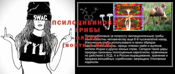 мескалин Алексин