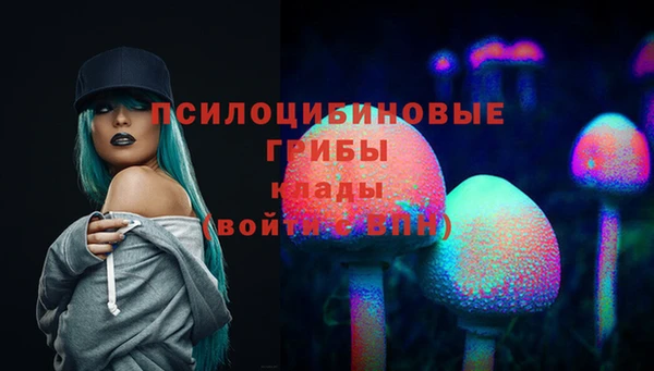 стафф Алзамай